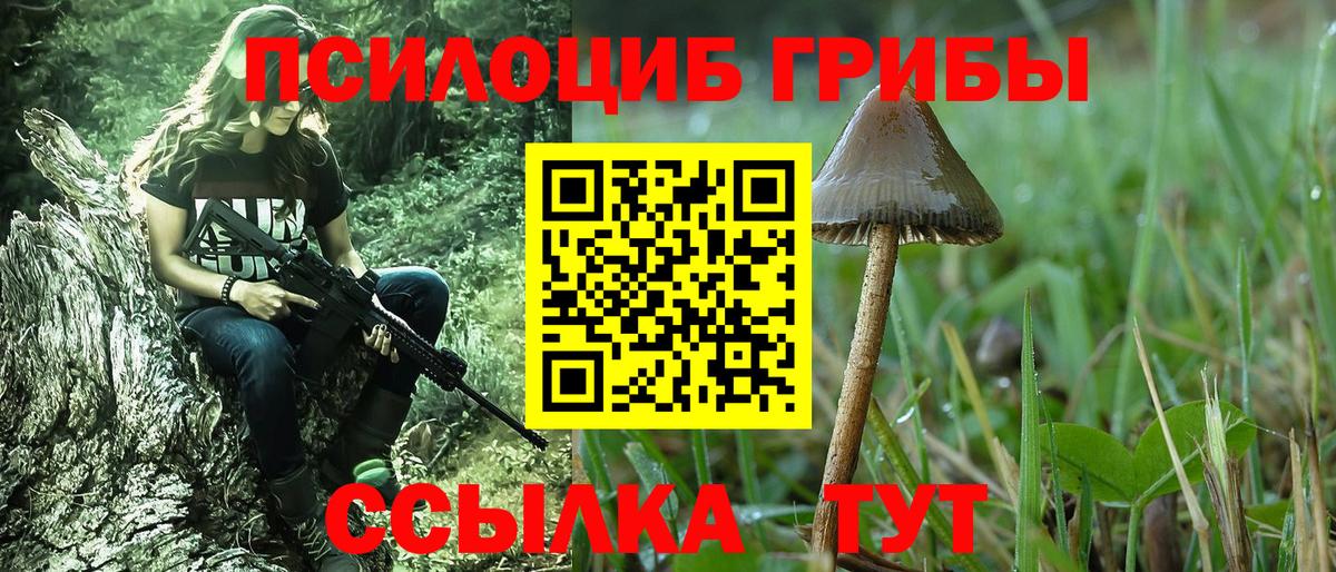 Кондопога  Галлюциногенные грибы Psilocybe  Вход с VPN  Псилоцибиновые грибы Cubensis 
